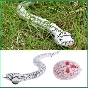 Remote Control Snake Toy