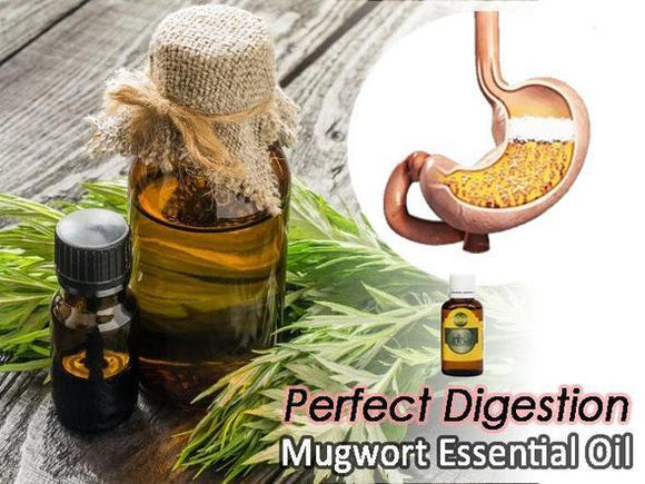 Perfect Digestion Mugwort Oil