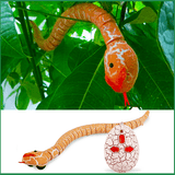 Remote Control Snake Toy