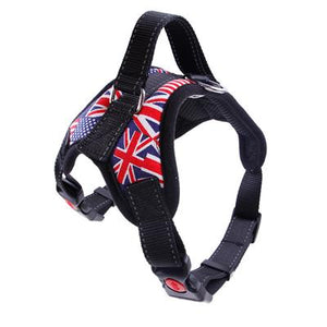 No Pull Dog Harness