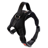 No Pull Dog Harness