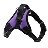 No Pull Dog Harness