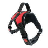 No Pull Dog Harness