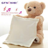 Peek a Boo Teddy Bear Plush Toy