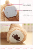 Peek a Boo Teddy Bear Plush Toy