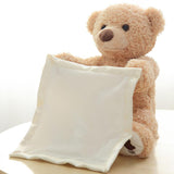 Peek a Boo Teddy Bear Plush Toy