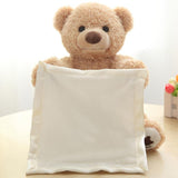 Peek a Boo Teddy Bear Plush Toy