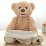 Peek a Boo Teddy Bear Plush Toy