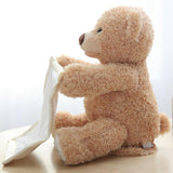 Peek a Boo Teddy Bear Plush Toy