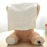 Peek a Boo Teddy Bear Plush Toy