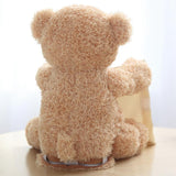 Peek a Boo Teddy Bear Plush Toy